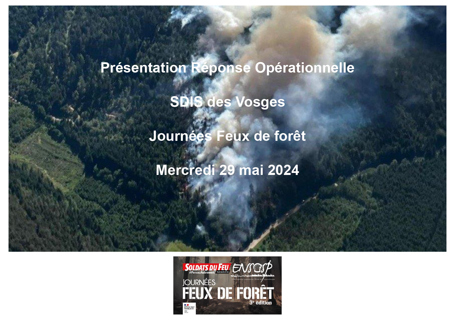 Réponse opérationnelle du Sdis des Vosges, feux de forêt